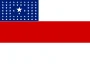 Bandeira de Amazonas