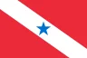 Bandeira de Pará